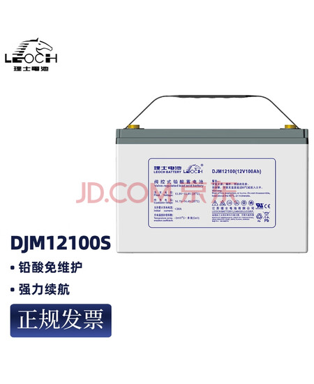 LEOCH理士铅酸免维护蓄电池DJM12100S 12V100AH UPS电源EPS直流屏通信开关电源储能备用电瓶