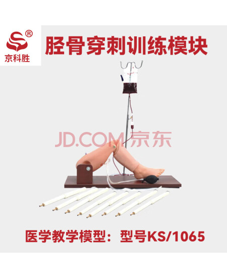 京科胜 KS/1065 胫骨穿刺训练模块 医学急救人体教学模型 骨穿刺及股静脉穿刺练习模型 胫骨穿刺训练模块