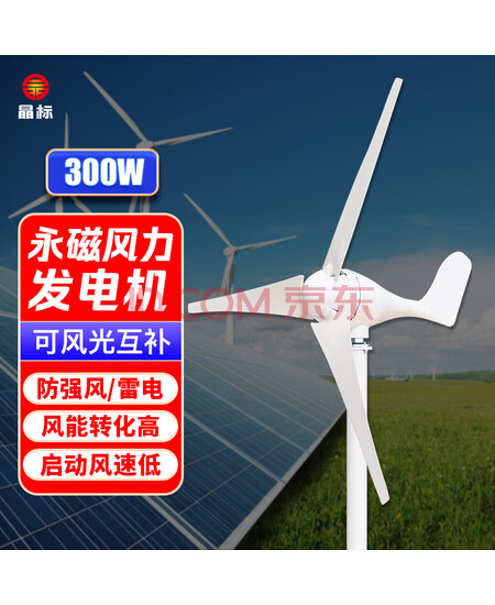 晶标户外三叶水平轴风力发电机家用商用小微型220v伏直流风光互补永磁路灯风力发电S型12v300W