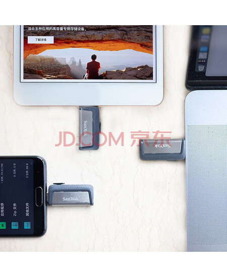 闪迪（SanDisk） U盘256GB Type-C 双接口OTG安卓高速接口手机电脑两用优盘大容量 浅灰色 256G