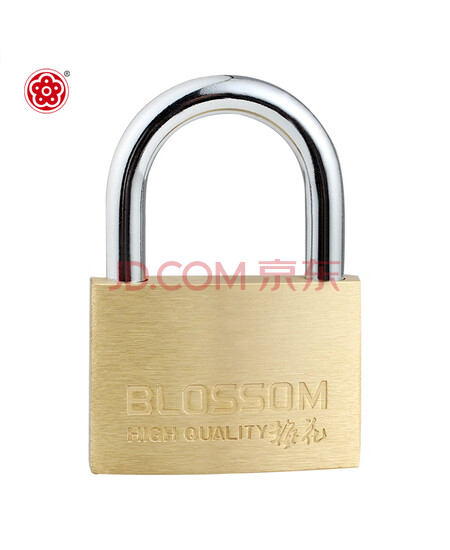 梅花（BLOSSOM）铜挂锁 防水防锈家用锁具 宿舍挂锁柜门锁 防盗窗锁头55mm（076）