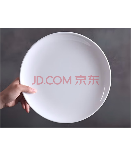 NOLIGE  自助取餐盘10寸平盘  单位：个