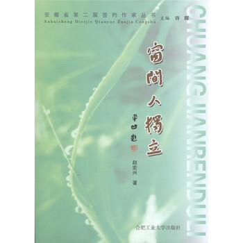 安徽省第二届签约作家丛书：窗间...