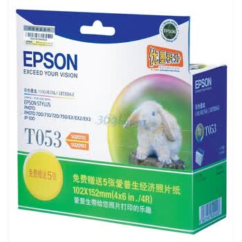 爱普生（Epson）T053 两支彩色墨盒 C13T053082BC（适用EX3/PH700/720）