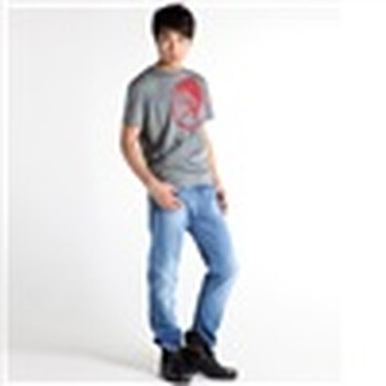 DIESEL 迪赛 男士圆领T恤 人头logo款 zn 80340965847XX款 青灰色 M