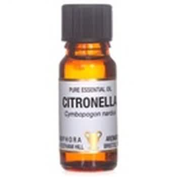 Amphora Aromatics英国AA网香茅精油10ml