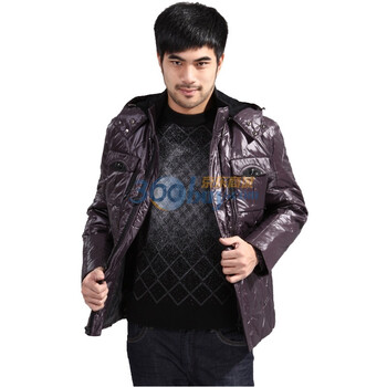H.F.LOOGN男装 时尚休闲羽绒服外套 95003R 紫色 52