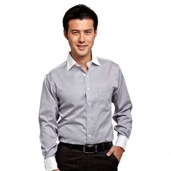 红豆hodo长袖衬衫 新款男士全棉长袖衬衫ECW4184 紫色 43