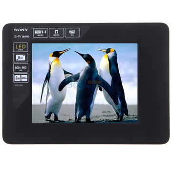 SONY 索尼（SONY） DPF-D830  数码相框 （2G 黑色）