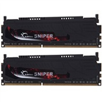 G.SKILL（芝奇）DDR3 1600 8G(4G×2条)台式机内存(F3-12800CL7D-8GBSR)