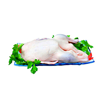 壹佰克 白条鸭 900g*2