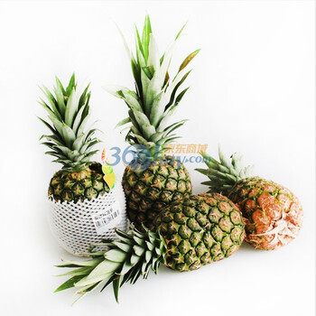 菲律宾菠萝 4个/份 约6kg