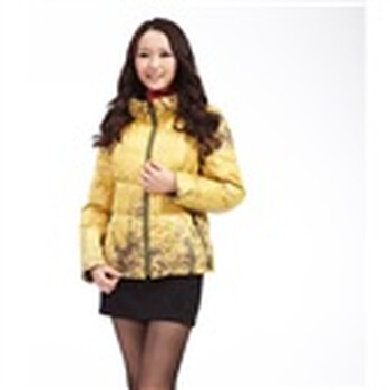 红迪丝 短款外套羽绒服、棉服：1104601、1104605、1104610、1104611 黄色 XXL/4605