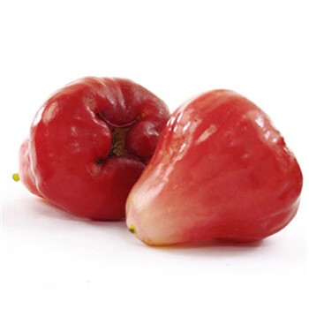 泰国莲雾（1KG/箱）