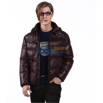 2011新款 雪中飞羽绒服 男时尚拉链短款 XR9013 紫色 185/100A(XL)
