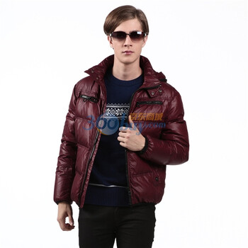 2011新款 雪中飞羽绒服 男时尚拉链短款 XR9013 红色 185/100A(XL)