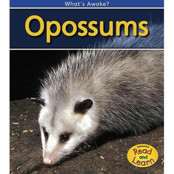 opossums opossums