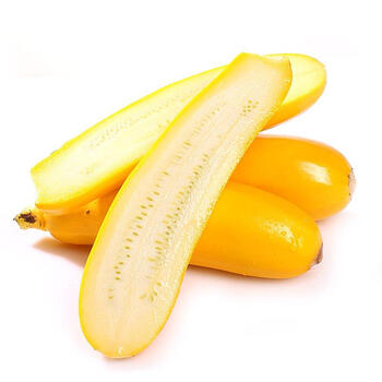 【沱沱工社】生态香蕉西葫芦 约500g (仅限北