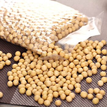 永福元黄豆250g*1袋 东北大黄豆【价格 报价 正