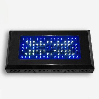 宸华照明LED鱼缸灯 大功率led水族灯照明 77*3 装饰灯 KW-SZ98*3W