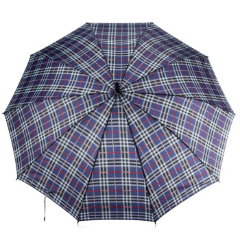 天堂伞 高密拒水自开直杆晴雨伞170E格016兰色
