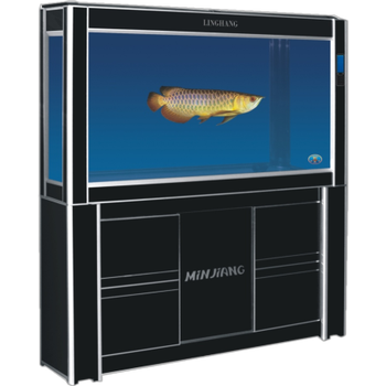 缸底部过滤水族箱金奖专利产品 包邮发物流自