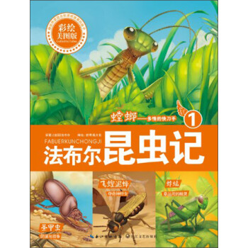 法布尔昆虫记1:螳螂多情的快刀手(彩绘美图版)