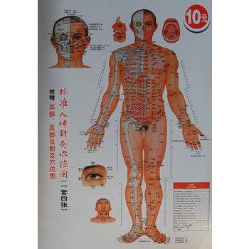 标准人体针灸穴位图【图片