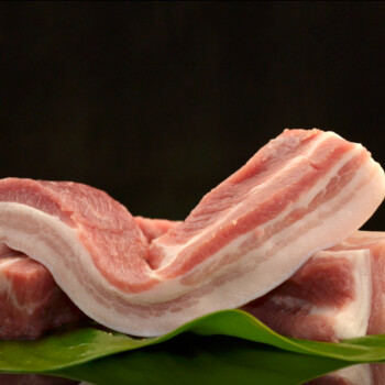 家育 中华 黑猪肉 五花肉 约500g 500