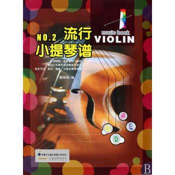 流行小提琴谱 附光盘NO.2