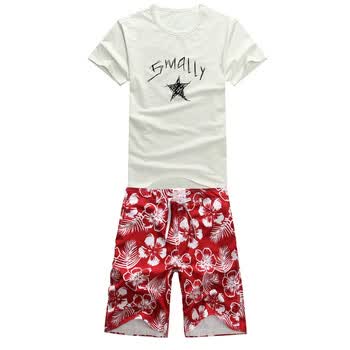 莱斯玛特lesmart男装 2012新款夏装 时尚T恤+休闲沙滩裤 套装特惠HGG520 套餐一 XXL+XXL