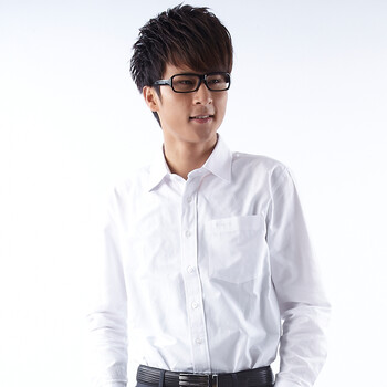 F-DRAGON特色龙 2012新款男士商务休闲正装长袖衬衫 FCE2011 白色 42
