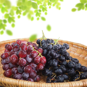 智利无籽红提黑提特惠组2KG