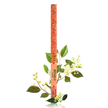 RAJ印度薰香 进口纯手工香熏香料 线香棍香 安神 18g*10小盒 舒缓紧张 068x