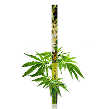 RAJ印度熏香 进口纯手工香薰香料 线香棍香 印度烟 18g*10小盒 治疗体弱 071x