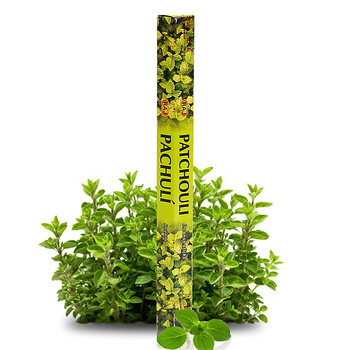 RAJ印度熏香 进口纯手工香薰香料 线香棍香 草汁 50g*3小盒 驱蚊舒缓情绪 119x