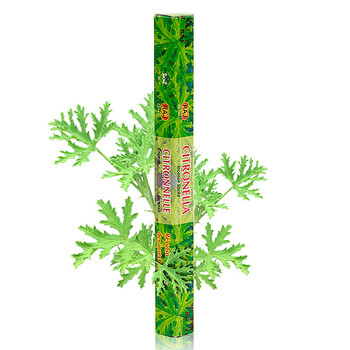 RAJ印度熏香 进口纯手工香薰香料 线香棍香 香茅 50g*3小盒 放松心情 123x