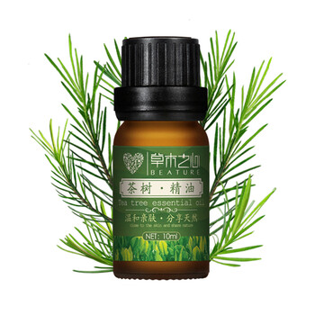 草木之心茶树精油10ml 控油祛痘 抗菌消炎