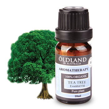 OLDLAND欧丹兰 单方 茶树精油 10ml 祛痘 妇科炎症