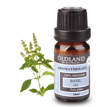 OLDLAND欧丹兰 单方 罗勒精油 10ML 治晕车 头痛 疏通毛孔 缓解压力