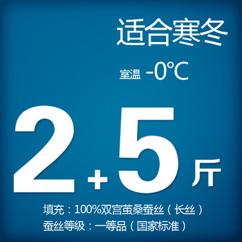 钱皇正品 100%桑蚕丝被桐乡手工被芯/子春/冬被 单/双人子母被 爱尚 斜纹 蚕丝净重2+5斤 220x240cm
