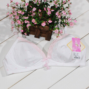 怡兰芬<em>少女文胸</em>纹<em>胸罩</em>学生内衣 无钢圈<em>后背</em>搭