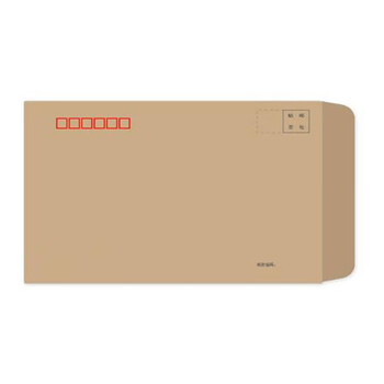 飞尔（FLYER）中国邮政定制 中文牛皮纸邮局标准9号信封100g /324×229mm 5000张装【FLb130】