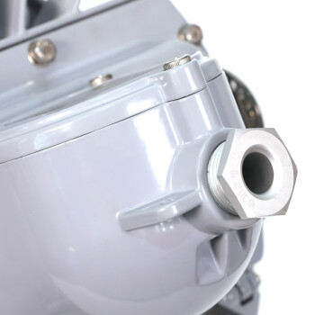 通明电器 TORMIN ZY8605S-L240 LED照明灯 厂房仓库车间码头场馆工业投光灯 240W 可定制