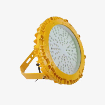 依客思（EKSFB）LED防爆平台灯/投光灯 EKS101 100W 白光