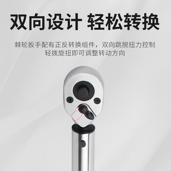罗宾汉（RUBICON）工业用棘轮扭力扳手R63-2D 力矩扳手可调节双向扳手3/8”预置扭力扳手可调扭矩20-100Nm 