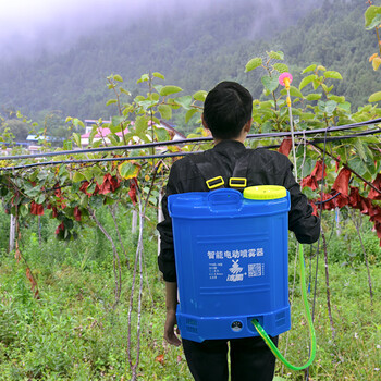 冰禹 BY-1701 农用电动喷雾器打药机 【国标】8A机身调速（双开关）