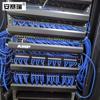 安赛瑞 金属理线架 12档24口 1U 19英寸网络电话线网线理线器机房机柜管理器电话网络配线架 510180