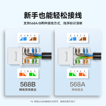 山泽（SAMZHE）六类网络模块 CAT6千兆网线插座面板模块 RJ45水晶头母座电脑网线镀金连接头 工程版 WAN-06