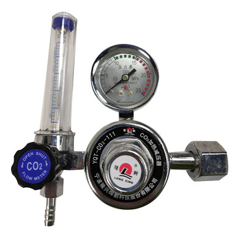 隆興（LONGXING）二氧化碳减压器YQT-CO2-113  金属色 36V 一块